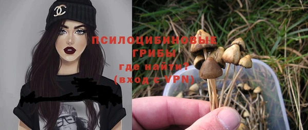 мяу мяу мука Сафоново