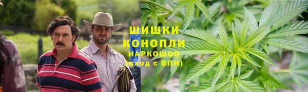 мяу мяу мука Сафоново