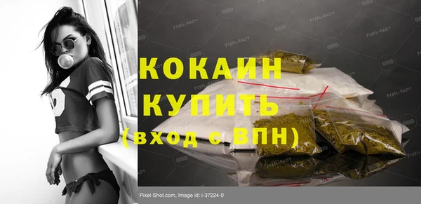 мдпв Снежногорск