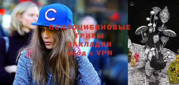 МДПВ Саяногорск