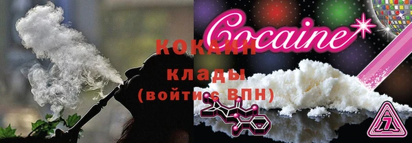 ГАЛЛЮЦИНОГЕННЫЕ ГРИБЫ Семёнов